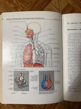 El gran libro de la salud