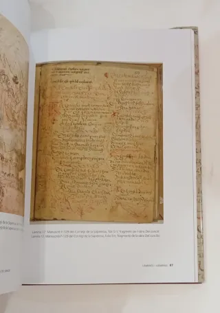 Libro Árbol filosofía de Amor Ramón Llull estudio