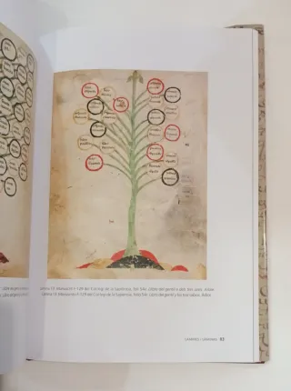 Libro Árbol filosofía de Amor Ramón Llull estudio