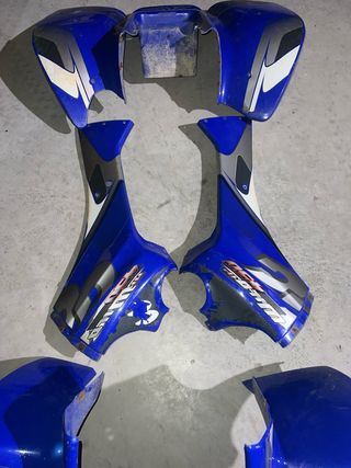 Plásticos Gas Gas Wild 450