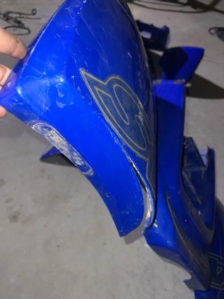 Plásticos Gas Gas Wild 450