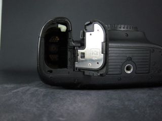 Canon EOS 5D Mark III