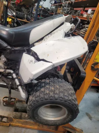 Polaris Predator 500