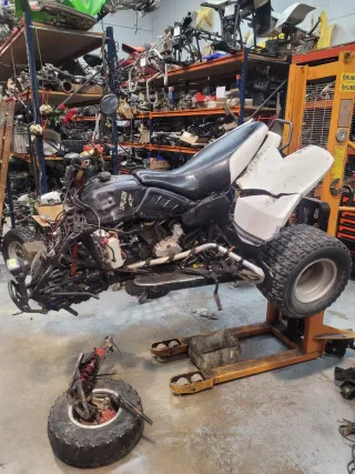 Polaris Predator 500