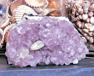 Drusa Quarzo Ametista Bolivia