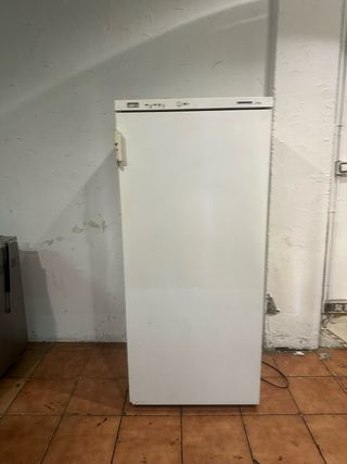 Congelador vertical 1 puerta blanco
