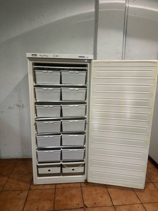 Congelador vertical 1 puerta blanco