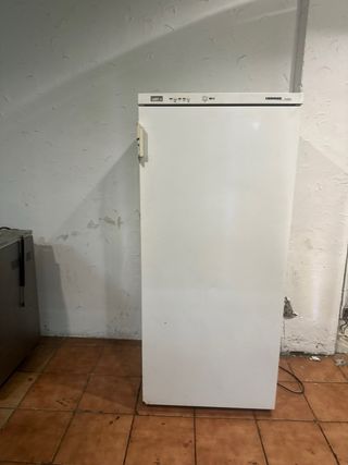 Congelador vertical 1 puerta blanco