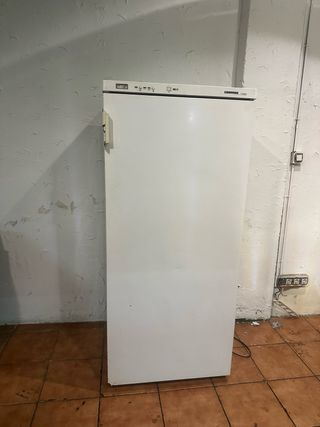 Congelador vertical 1 puerta blanco