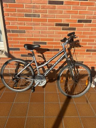 Bicicleta Coluer Plata