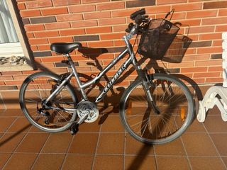 Bicicleta Coluer Plata
