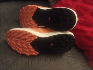 2 pares Zapatillas Nike y Salomon