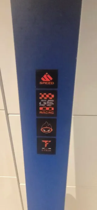 Dynastar Course WC GS 175 + Fijaciones Look