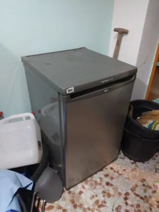 Nevera Express Convexa LG