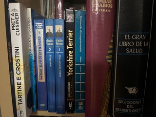 Lote de libros variados