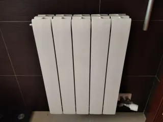 Calentador y radiadores