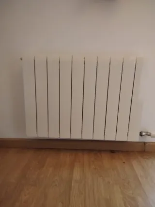 Calentador y radiadores