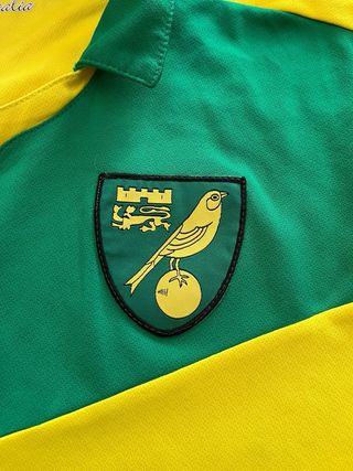 Camiseta Norwich City 2014 Talla XXL