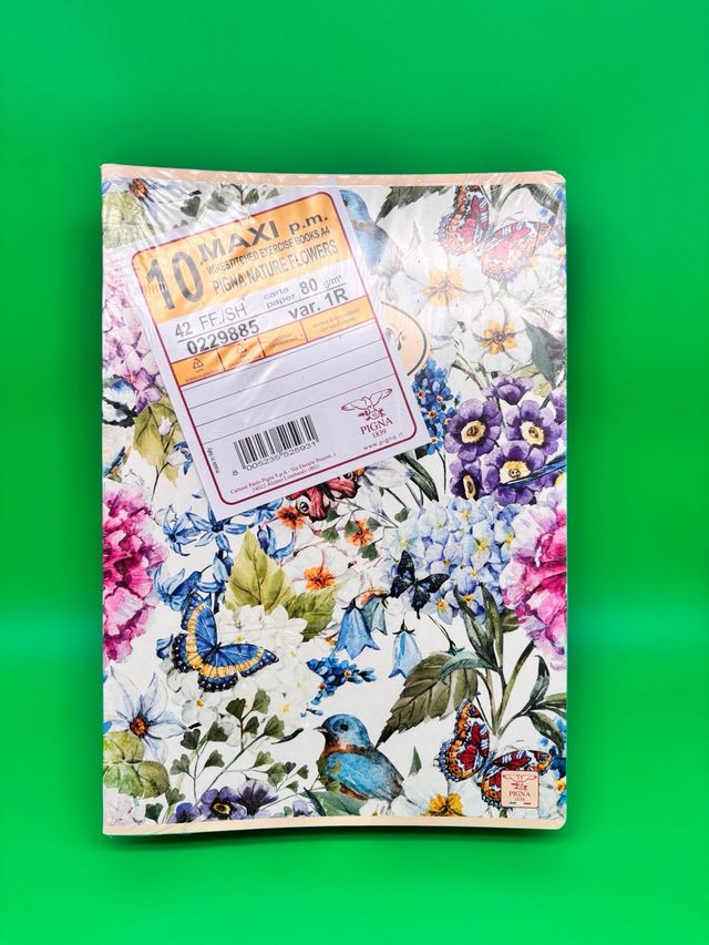 Pigna Maxi Quaderni A4 - Confezione da 10