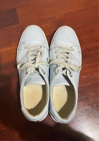 Scarpe Tommy Hilfiger azzurre