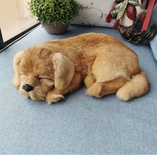 Cane peluche realistico