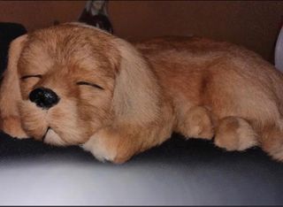 Cane peluche realistico