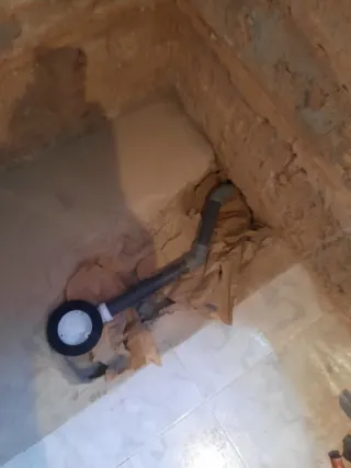 Paleta racholero reformas