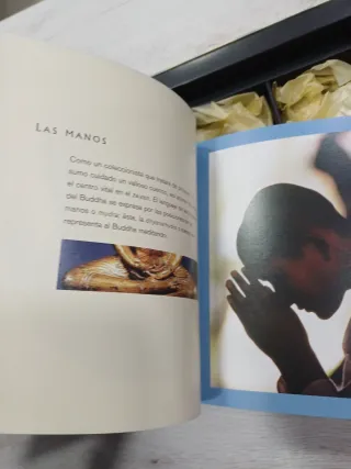 Libro Sabiduría Zen, descubre los ritos y misterio