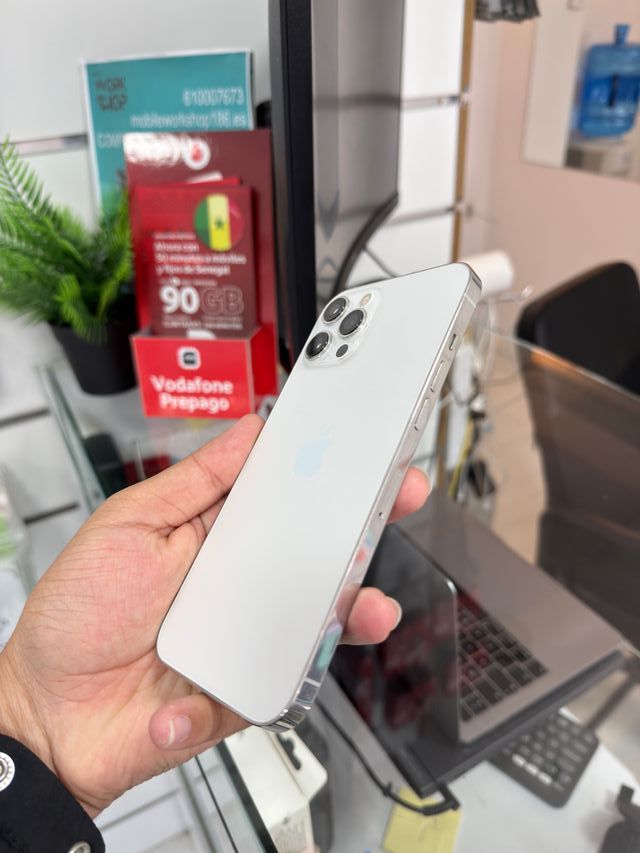 iPhone 12 Pro Max 256GB Argento