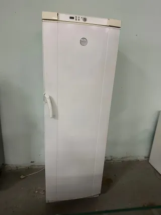 Congelador industrial blanco