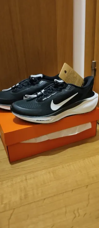 Zapatillas Nike Air Zoom Pegasus 41 Easy on