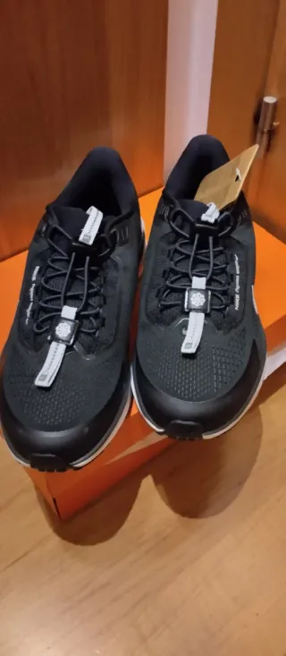 Zapatillas Nike Air Zoom Pegasus 41 Easy on