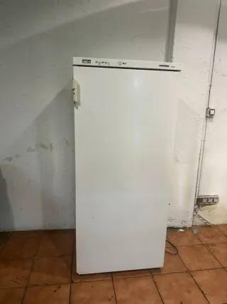 Congelador industrial blanco