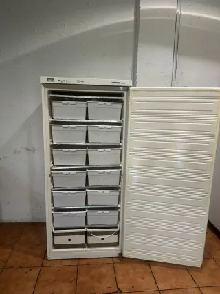 Congelador industrial blanco