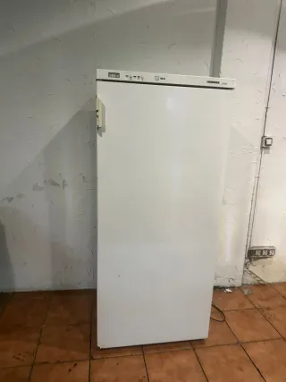 Congelador industrial blanco