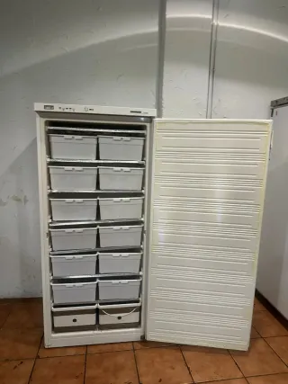 Congelador industrial blanco