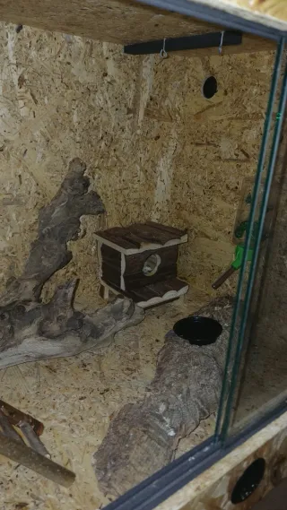 Terrario de madera para reptiles o roedores