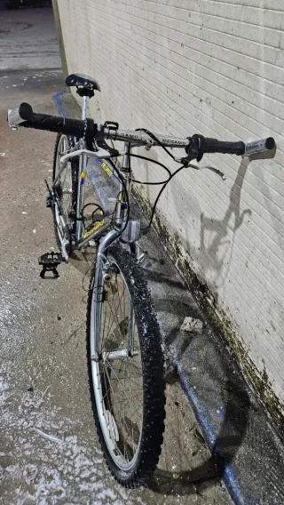 Bicicleta Megamo Plata