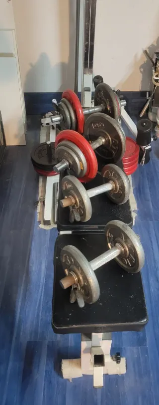 Máquina de Pesas Multifunción Salter