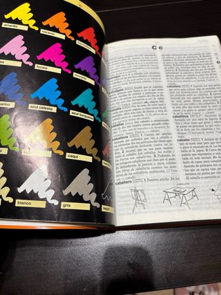 Diccionario Didactico De Espanol Elemental (Spa...