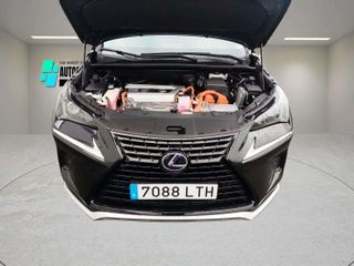 Lexus NX 2021 300H Premium