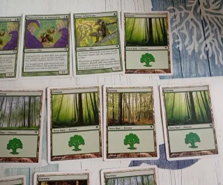 Carte Magic Salvat-Hachette mazzo ratto + elfo