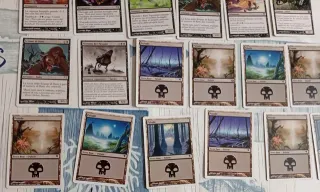 Carte Magic Salvat-Hachette mazzo ratto + elfo