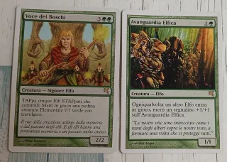 Carte Magic Salvat-Hachette mazzo ratto + elfo