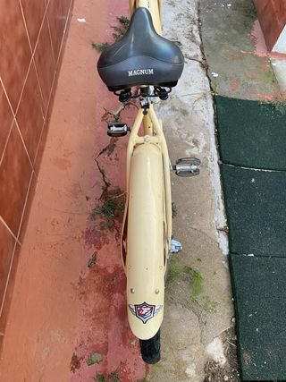 Bicicleta Fuji Shangri-La 1.0 Cruiser