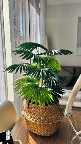 Planta artificial decorativa con cesta