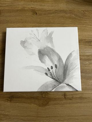 Set 6 cucchiaini Claraluna – nuovo in confezione