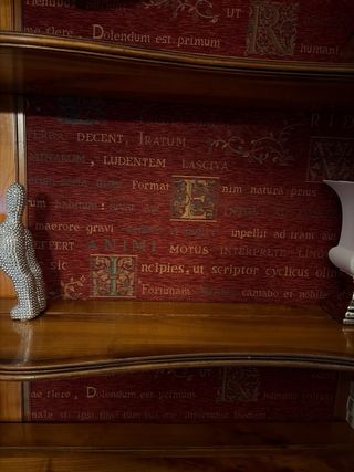 Librería de madera con tapiz frontal