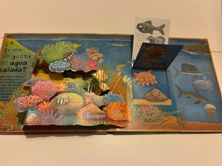 Cómo Viven Los Animales (Libro Desplegable)