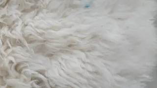 Alfombra Piel Oveja Natural 1,05 x 1,70  Alemana